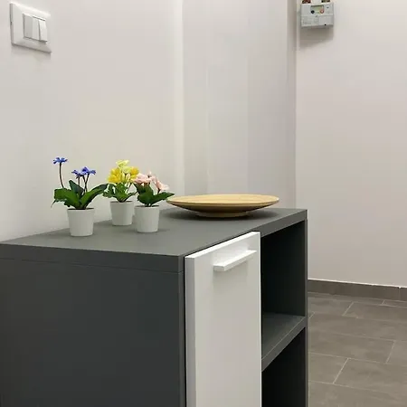 Apartment Mazzini